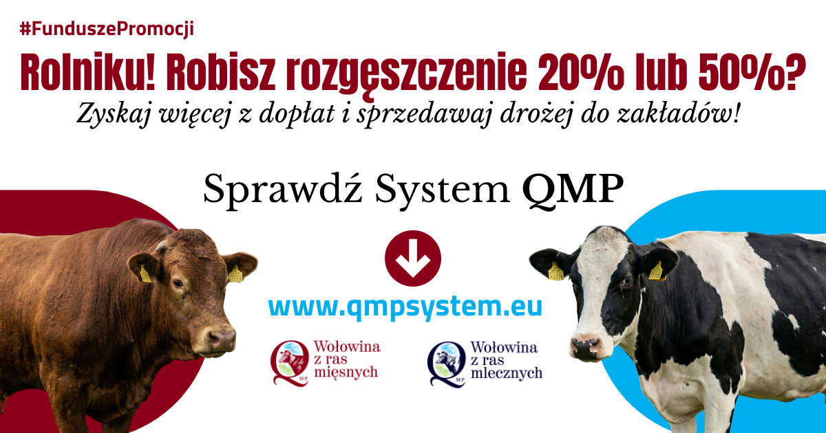 QMP_grafika