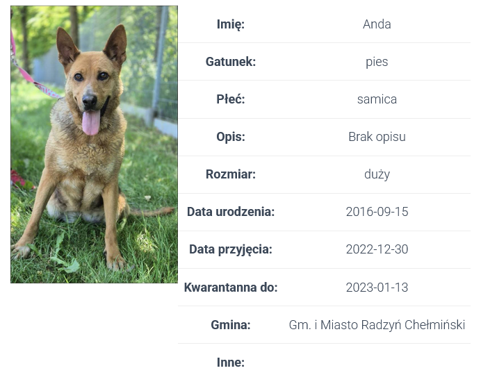 Screenshot_2026-10-02_at_07-56-58_Wyszukiwarka_przyjaci&oacute;ł_&ndash;_Centrum_Opieki_nad_Zwierzętami
