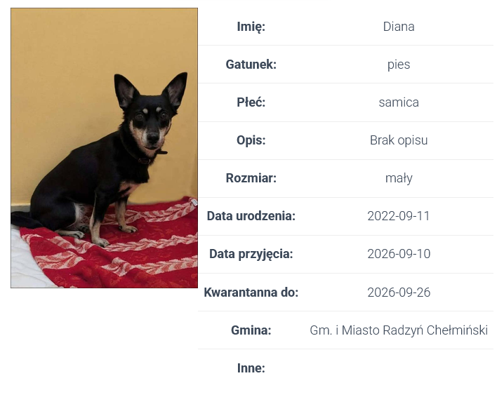 Screenshot_2026-10-02_at_07-57-05_Wyszukiwarka_przyjaci&oacute;ł_&ndash;_Centrum_Opieki_nad_Zwierzętami