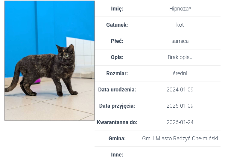 Screenshot_2026-10-02_at_07-57-19_Wyszukiwarka_przyjaci&oacute;ł_&ndash;_Centrum_Opieki_nad_Zwierzętami
