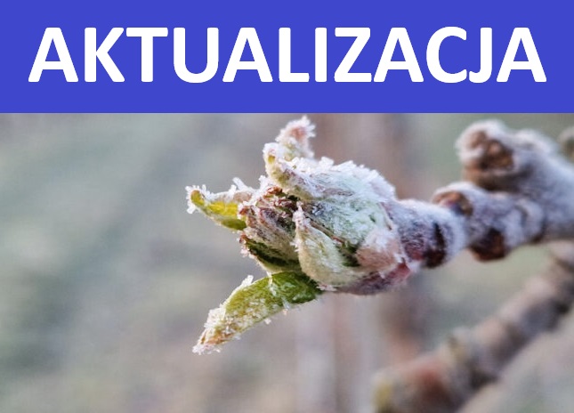 Przymrozek-(1)