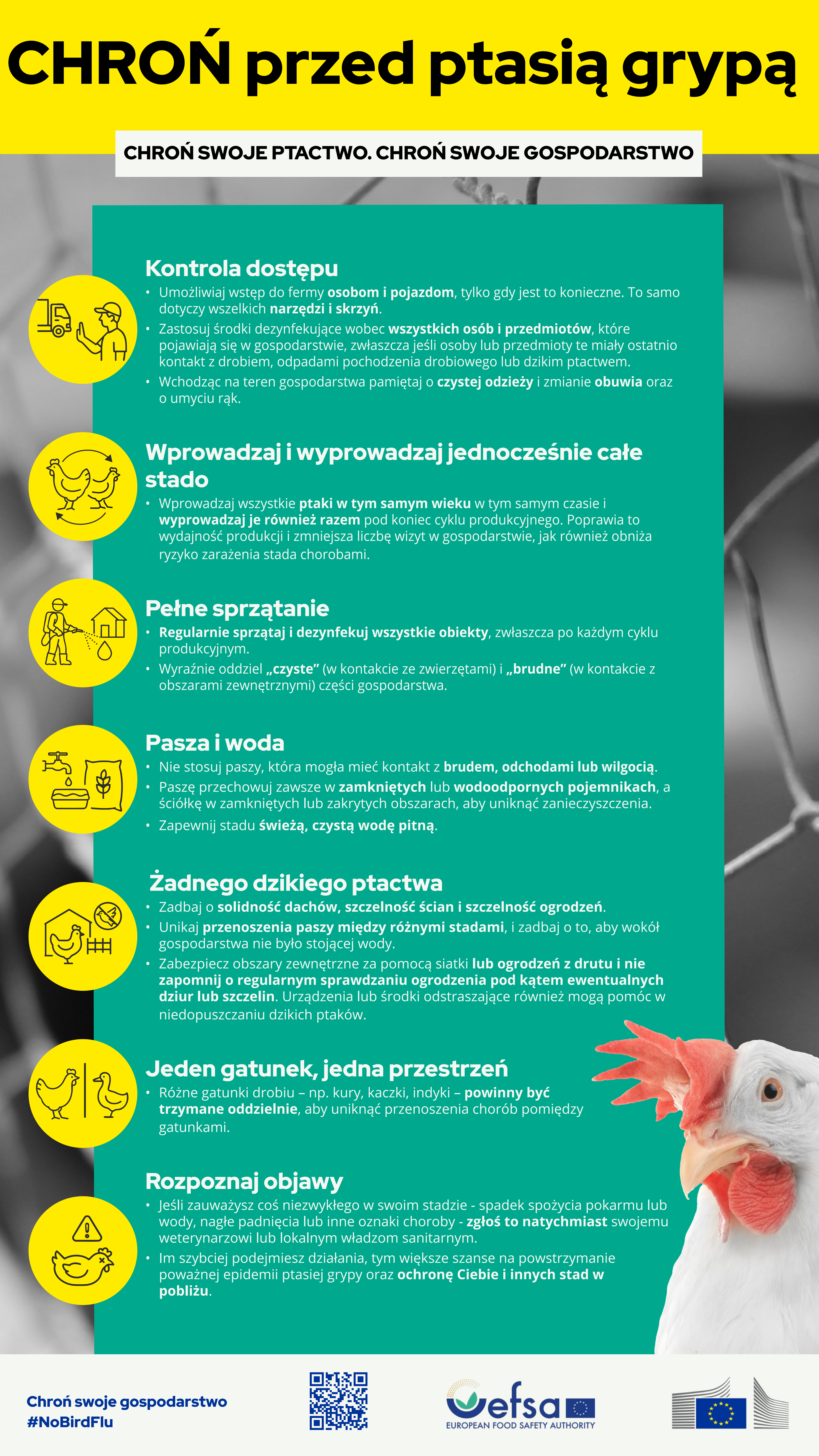 Plakat-ptasia-grypa