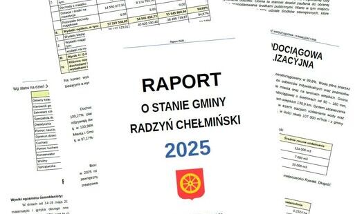 raport infografika
