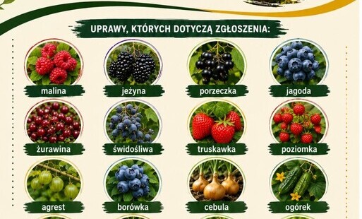 Plakat "ZGŁASZANIE SZKÓD W UPRAWACH ROLNYCH SPOWODOWANYCH WYSOKIMI TEMPERATURAMI"